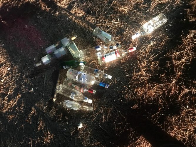 חלק מבקבוקי האלכוהול שנמצאו במסיבה (צילום: דוברות המשטרה)